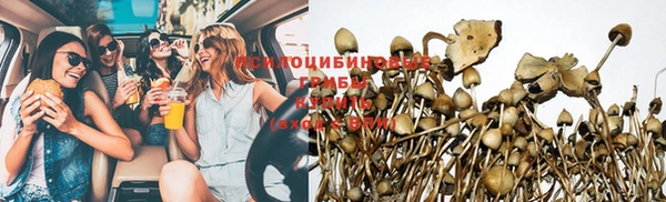 mix Магас