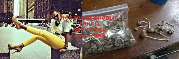 mix Магас